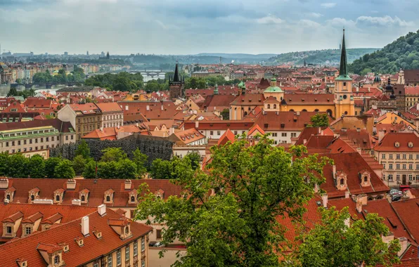 Здания, крыши, Прага, Чехия, панорама, Prague, Czech Republic