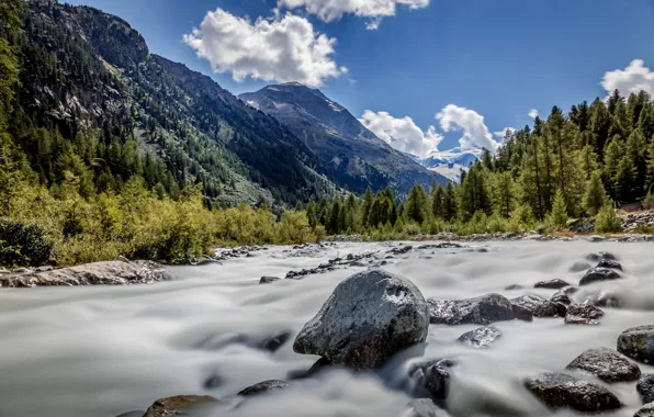 Картинка лес, небо, облака, горы, Швейцария, ледник, Graubünden, Morteratsch Glacier