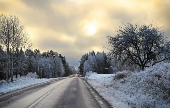 Картинка зима, дорога, перспектива, утро