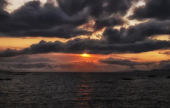 Картинка море, небо, солнце, полет, закат, оранжевый, тучи, океан