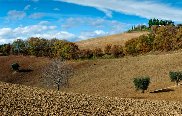 Картинка поле, осень, небо, деревья, дома, холм, Италия