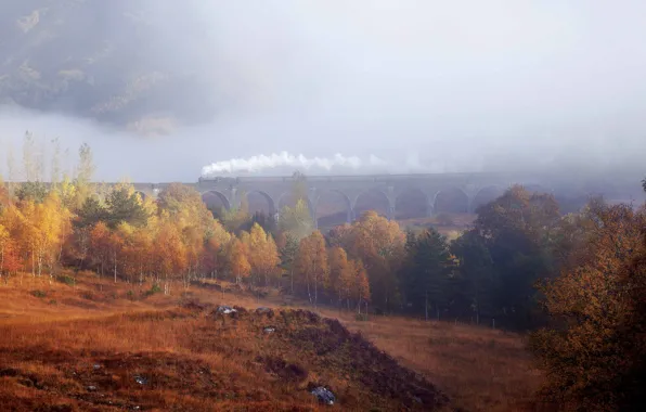Картинка осень, лес, деревья, туман, поезд, дымка