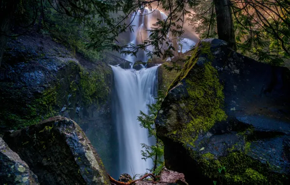 Картинка лес, скалы, водопады, каскад, Columbia River Gorge, Falls Creek Falls, Gifford Pinchot National Forest, Washington …