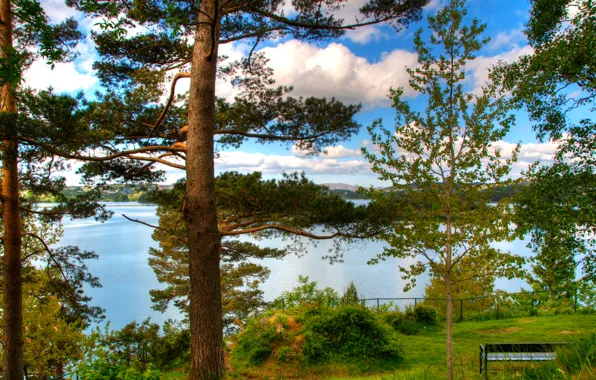 Картинка море, лес, деревья, парк, скамья, норвегия, norway