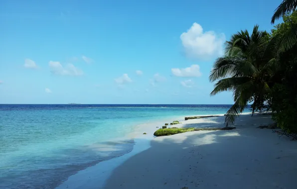 Море, пляж, Maldives, райское место