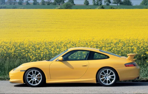 Цветы, желтый, 911, Porsche, порше, GT3