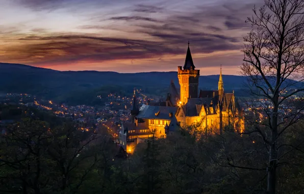 Пейзаж, природа, город, замок, вечер, Германия, освещение, Саксония-Анхальт