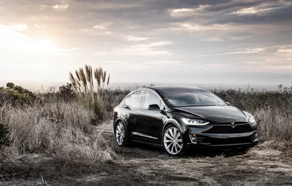 Картинка концепт, Black, Tesla, Model X, тесла, электрокар