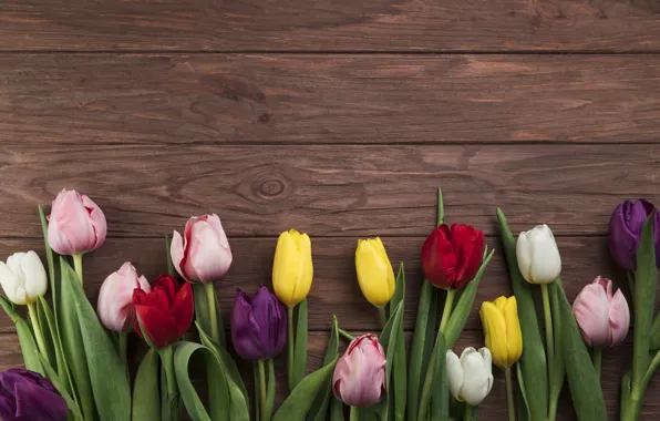 Цветы, colorful, тюльпаны, wood, flowers, beautiful, tulips, spring