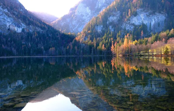 Осень, лес, небо, вода, свет, деревья, горы, туман