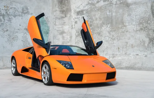 Orange, Scissor doors, Lamborghini Murcielago Roadster