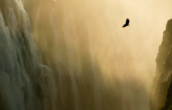 Картинка горы, орел, водопад