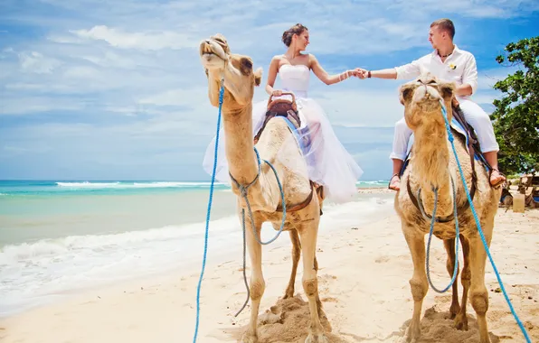 Картинка море, пляж, прогулка, верблюды, влюбленная пара