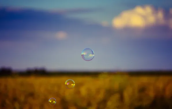 Bubbles, field, bokeh, countryside, farmland