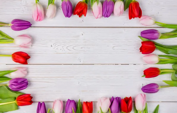 Цветы, colorful, тюльпаны, red, white, wood, flowers, tulips