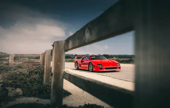 Ferrari, Red, F40