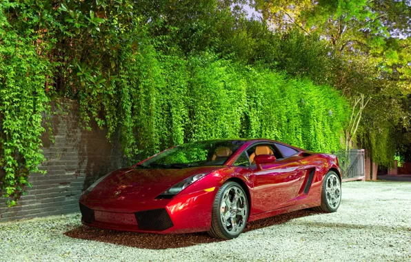 Картинка Lamborghini, wheels, Red, Gallardo, hrome