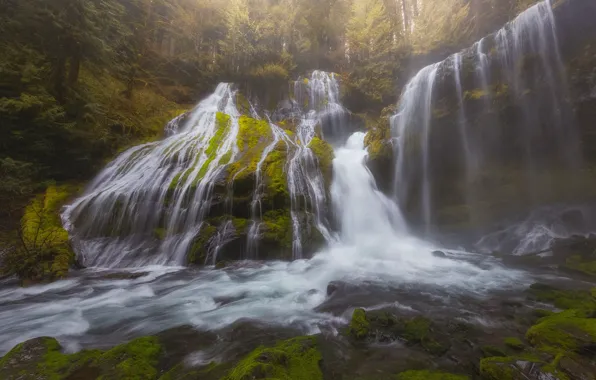 Картинка лес, водопад, каскад, Washington, штат Вашингтон, Columbia River Gorge, Panther Creek Falls, Gifford Pinchot National …