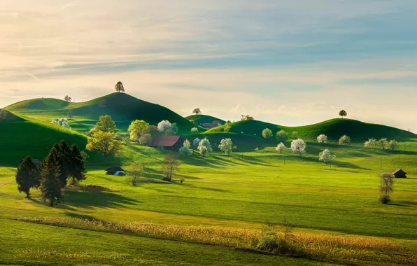 Картинка зелень, небо, трава, солнце, облака, деревья, природа, холмы
