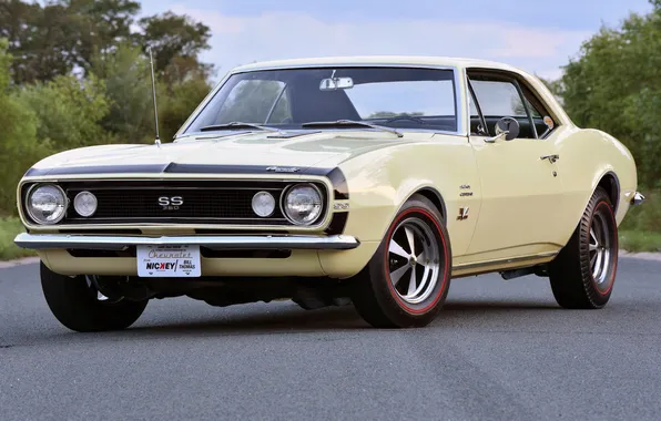 Ретро, купе, Chevrolet, Camaro, спорт кар, coupe, 1967, 427