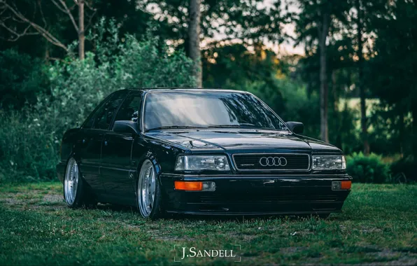 Картинка AUDI, D11, V8, QUATTRO