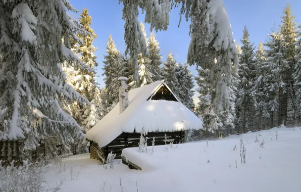 Картинка зима, лес, снег, деревья, дом