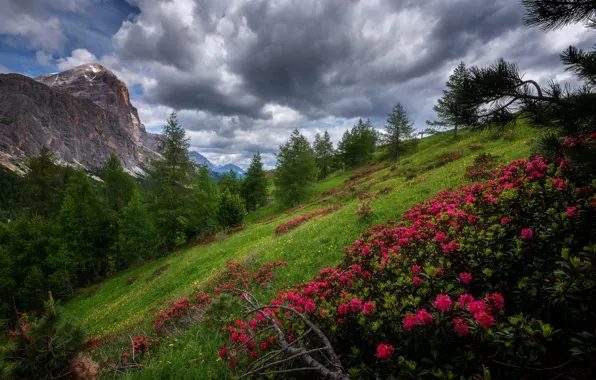 Картинка nature, Dolomites, Mountain landscape, Falzarego pass