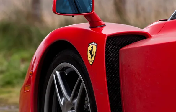 Ferrari, logo, Ferrari Enzo, Enzo, close-up, Scuderia Ferrari