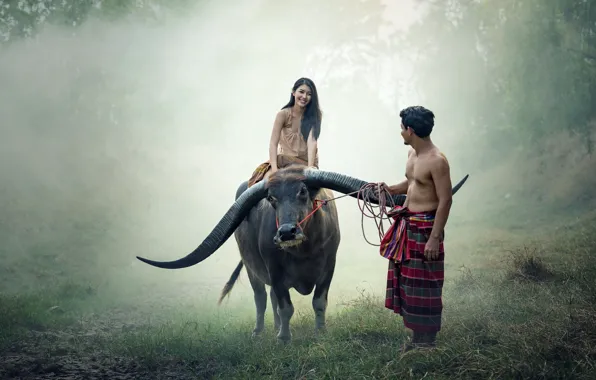 Картинка people, couple, thailand, cow