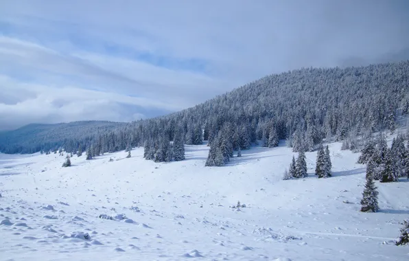 Зима, поле, лес, небо, облака, снег, горы, холмы