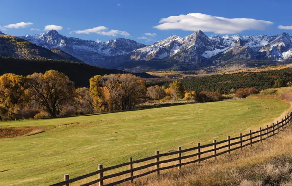 Картинка поле, осень, деревья, горы, забор, Колорадо, Colorado, San Juan Mountains