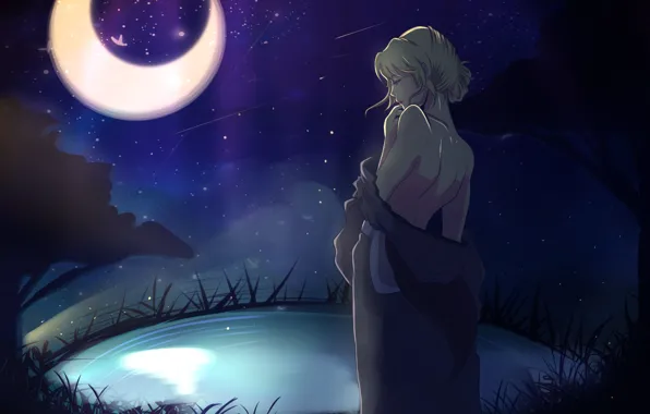 Картинка небо, девушка, звезды, ночь, луна, спина, аниме, Shiori