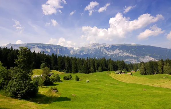 Лес, облака, горы, поля, Швейцария, луга