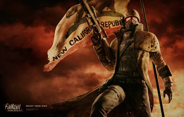 Картинка флаг, солдат, броня, Fallout, винтовка, New Vegas, NCR