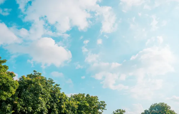 HDR, wide, sky, sony, clouds, day, india, sunny