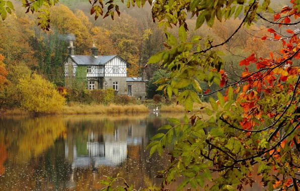 Картинка осень, лес, ветки, озеро, дом, после дождя