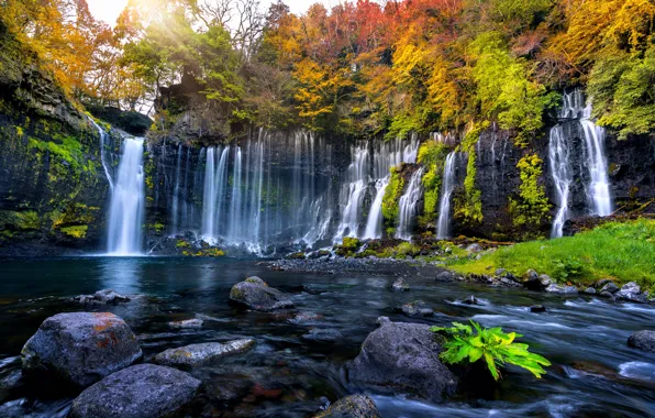 Осень, листья, деревья, водопад, colorful, forest, nature, autumn
