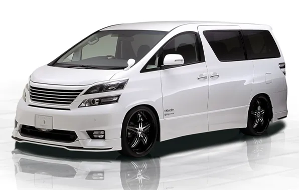 Toyota, White, Tuning, Vellfire, Tommykaira Design