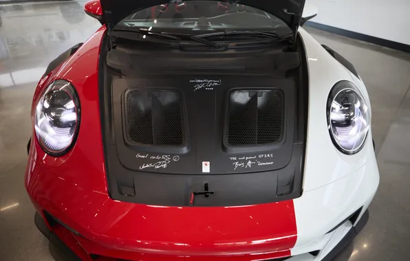 Porsche, суперкар, supercar, Canada, единственный экземпляр, 2024, the only instance, Porsche 911 GT3 RS "PECTO"