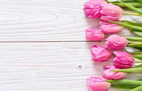 Цветы, тюльпаны, розовые, fresh, wood, pink, flowers, tulips