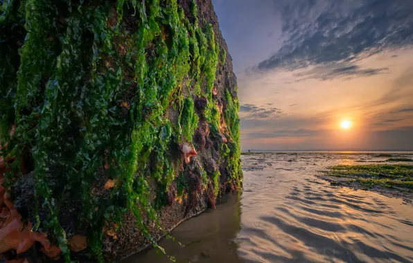 Море, закат, скала