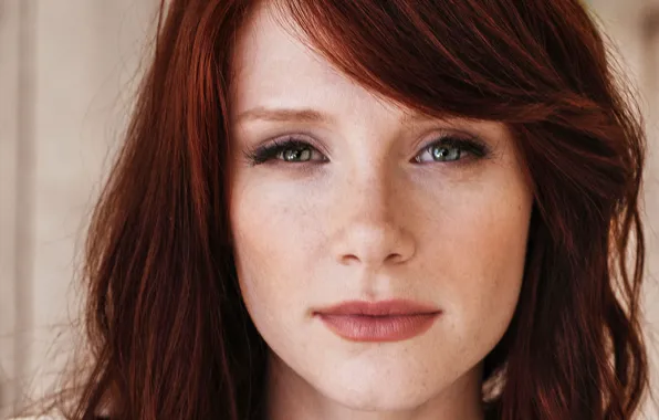Взгляд, портрет, актриса, hair, Bryce Dallas Howard, Брайс Даллас Ховард