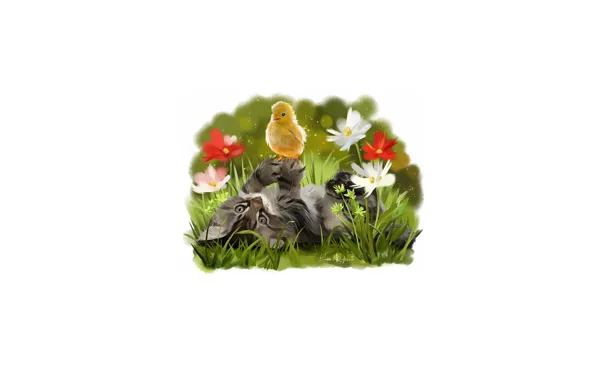 Цветы, котенок, Цыпленок