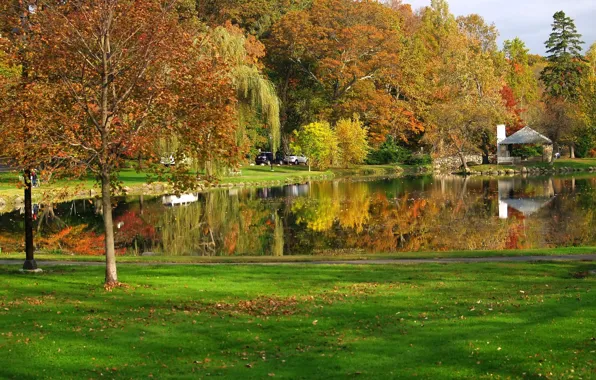 Картинка осень, отражения, деревья, природа, пруд, Nature, листопад, trees