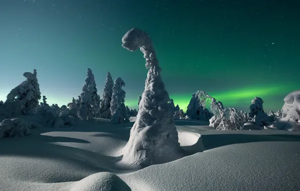Картинка зима, снег, деревья, пейзаж, ночь, природа, звёзды, северное сияние