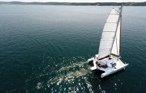 Море, побережье, sea, тримаран, белые паруса, white sails of trimaran