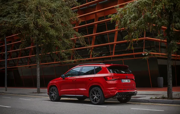 Улица, 2018, SUV, Seat, Cupra, Ateca