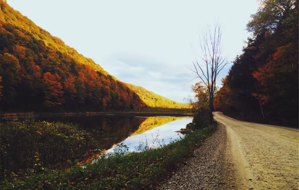 Картинка дорога, осень, деревья, озеро, водоем, золотая