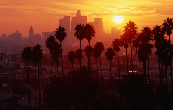 Картинка закат, пальмы, Город, Калифорния, Лос-Анжелес