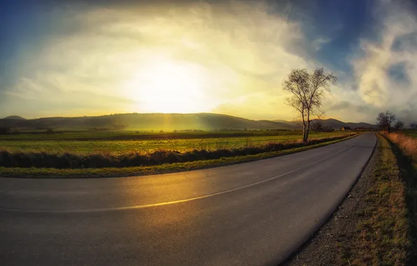 Дорога, осень, утро